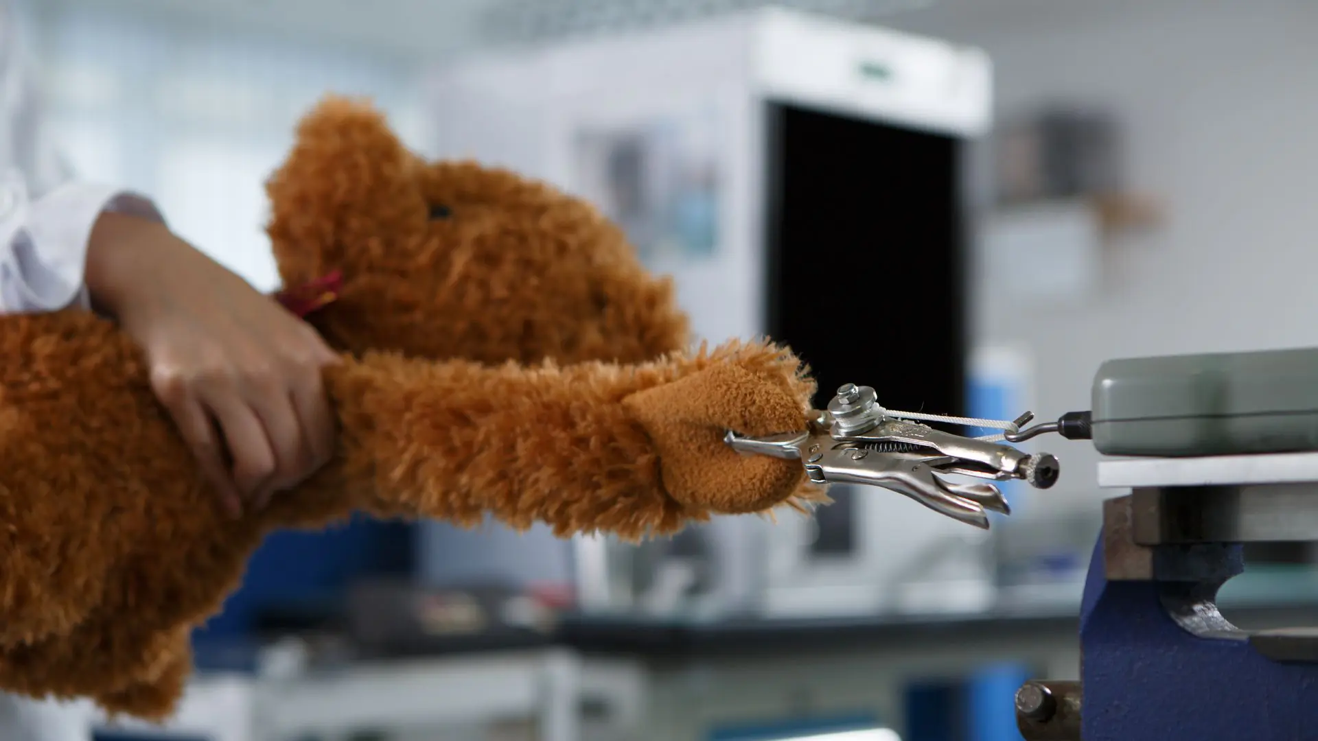 Toy Safety Certification