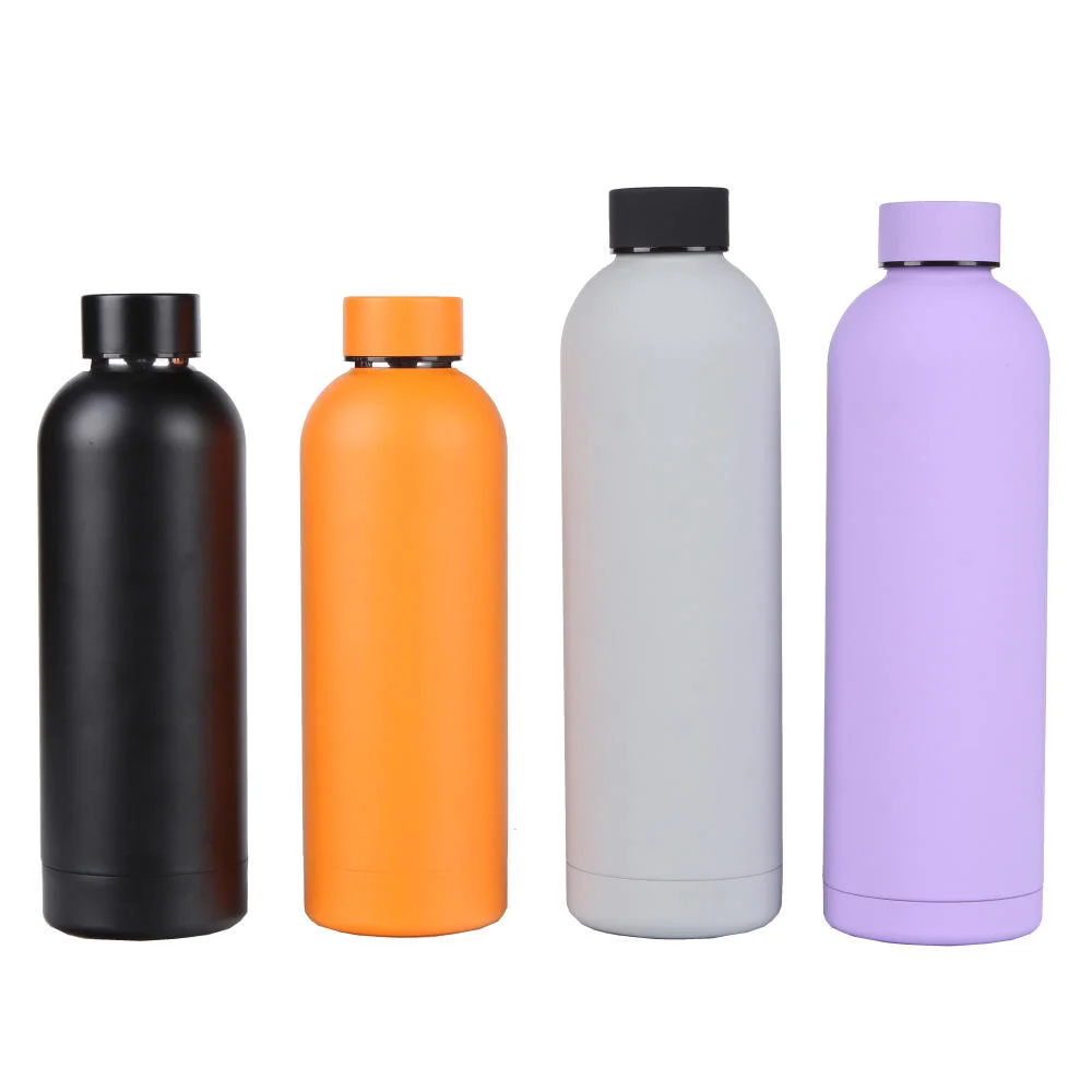 Outdoor Sports Insulated Bottle, Car & Gym Use, BPA-Free