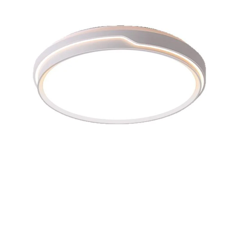 China Manufacturer Supplies Wholesale Custom Full-Spectrum Eye Protection Iron Ceiling Lamp with OEM Service
