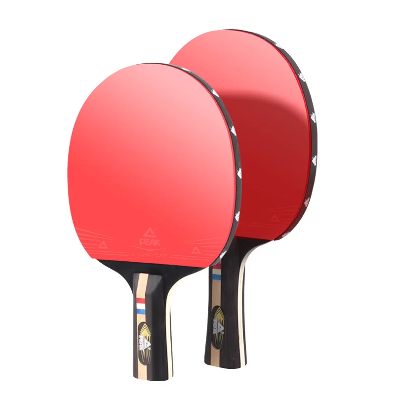 China Wholesale PEAK Table Tennis Paddle Set for Kids & Adult Beginners