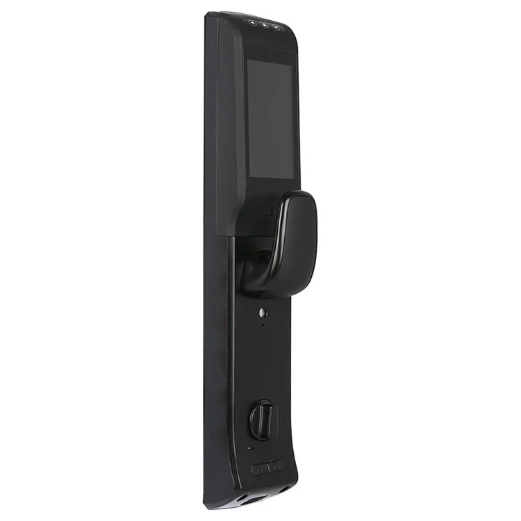China Manufacturer Wholesale 2021 New WiFi Biometric Smart Door Lock Support OEM Custom Export