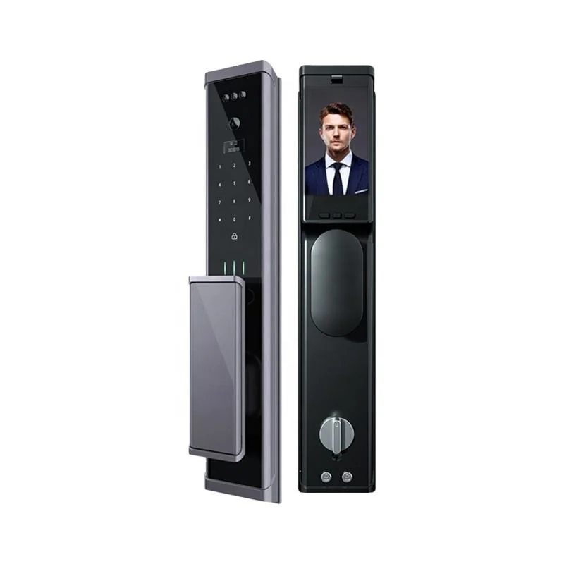 China Manufacturer Wholesale High Security Anti-Theft Smart Door Lock Support OEM Custom Export