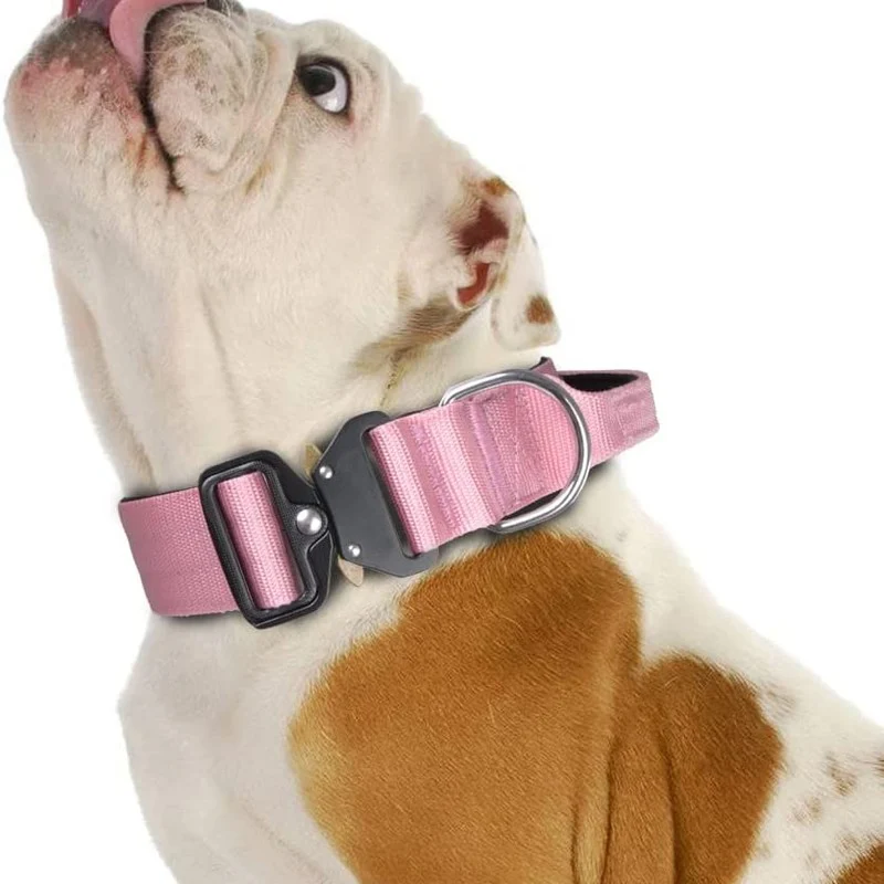 China Wholesale Custom Multi Color Nylon Tactical Dog Collar