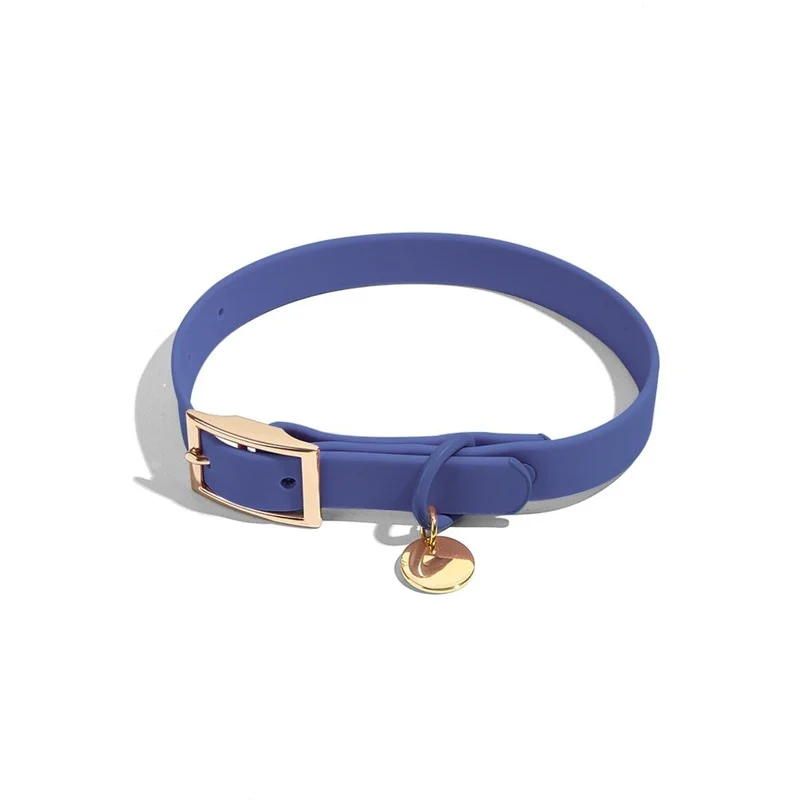 Custom Wholesale Waterproof Solid Pet Collar Leash China