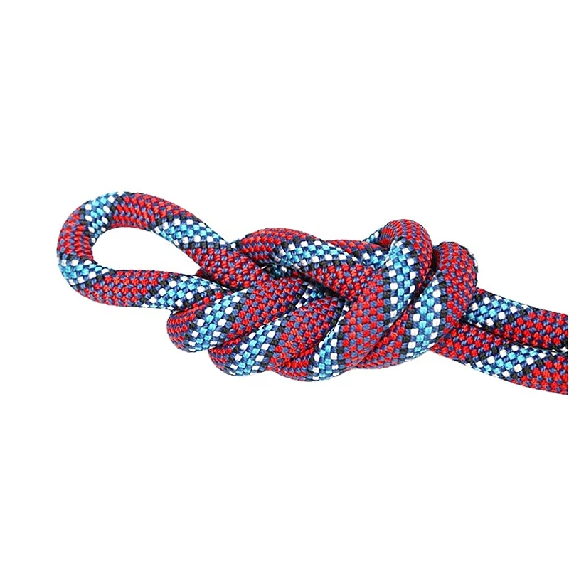 China Wholesale Nylon Polyester Climbing Dog Leash Supplier